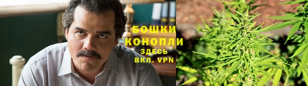 мдпв Богородск