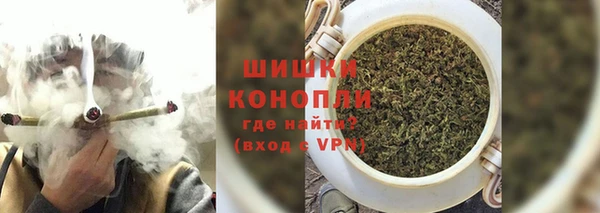 мдпв Богородск
