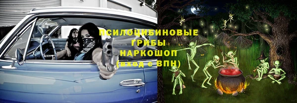 мдпв Богородск