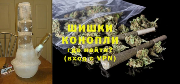 мдпв Богородск