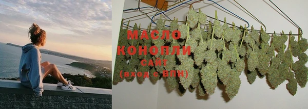 мдпв Богородск